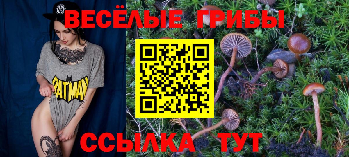 Галлюциногенные грибы мухоморы  Вход с VPN  Дивногорск 