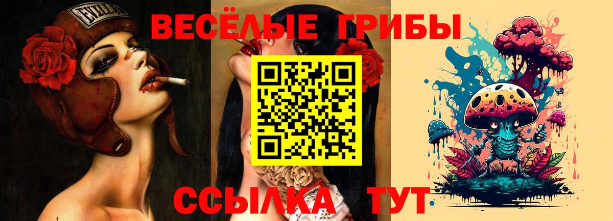 Псилоцибиновые грибы Psilocybe Дивногорск
